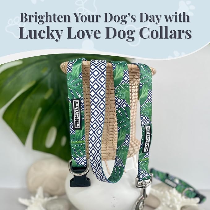Lucky Love Dog Collar and Leash Set, Beautiful & Vivid Patterns, Easy On & Off Clasp Accessory (Blue Laguna, XS Combo)