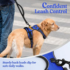 rabbitgoo Dog Harness, No Pull for Large Dogs with 2 Leash Clips, Pet Vest | No Choke with Handle, Adjustable Soft Padded, Reflective, Easy Control for Walking, Dazzling Blue, X-Large