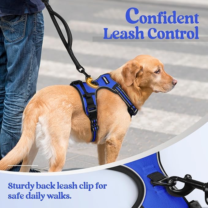 rabbitgoo Dog Harness, No Pull for Large Dogs with 2 Leash Clips, Pet Vest | No Choke with Handle, Adjustable Soft Padded, Reflective, Easy Control for Walking, Dazzling Blue, Large