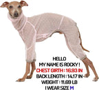 D Doggy Star Italian Greyhound Clothes Sheer Mesh Onesie Summer Jumpsuit Breathable Full Body Protection for Outdoor Walks Small Whippet Fit (3XL,Sheer Mesh Pink)