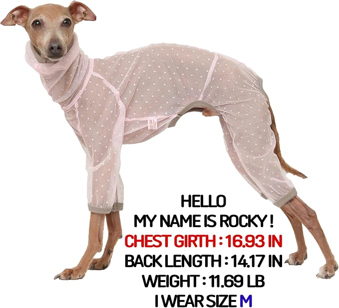 D Doggy Star Italian Greyhound Clothes Sheer Mesh Onesie Summer Jumpsuit Breathable Full Body Protection for Outdoor Walks Small Whippet Fit (S,Sheer Mesh Pink)