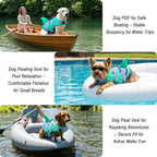 Fragralley Shark Dog Life Jacket, Easy to Put on Dog Life Vest for Swimming and Boating, Vibrant & Adjustable Dog Life Preservers for Small Medium Large Dogs, Suit to Swim, Fish, Beach, Surfing