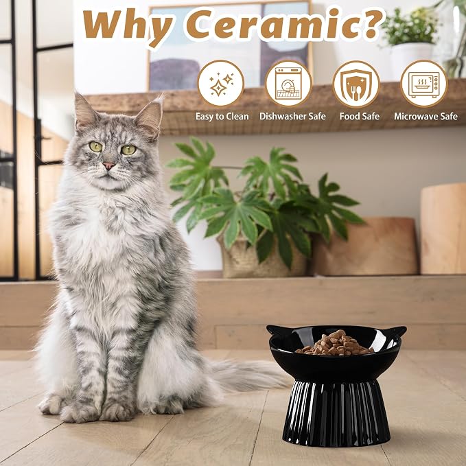 Ceramic Raised Cat Bowl，Tilted Raised Bowl Anti Vomit for Indoor Cats Whisker Friendly Pet Feeder for Cats Puppies, Microwave and Dishwasher Safe (Black)