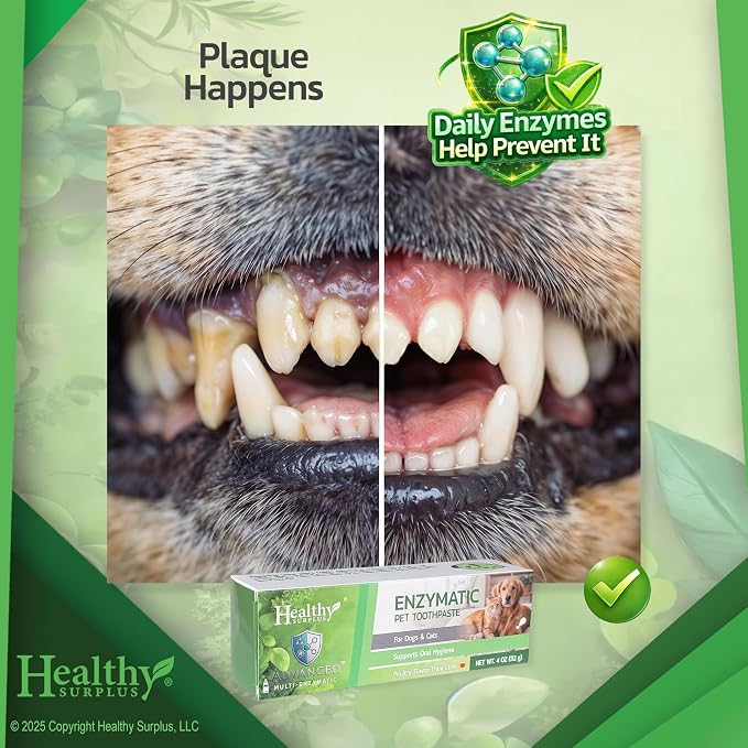 Healthy Surplus 4 Oz - Enzymatic Dog Toothpaste (Poultry - Chicken Flavor) for Dogs & Cats - Fresh Breath, Plaque & Tartar Control - Advanced 5-Enzyme Pet Toothpaste