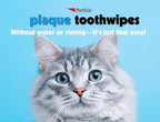 Petkin Cat and Dog Dental Wipes, 40 Wipes (Fresh Mint) - Natural Formula Cleans Teeth, Gums & Freshens Breath - for Daily Use - Convenient Dog Dental Care - 1 Pack of 40 Wipes