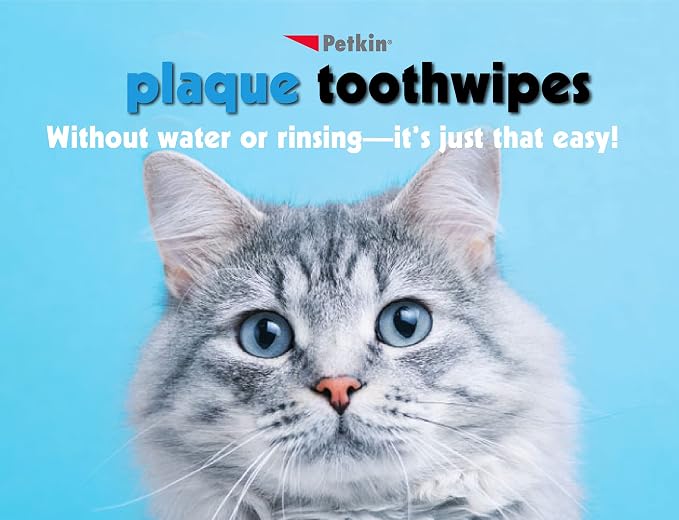 Petkin Cat and Dog Dental Wipes, 40 Wipes (Fresh Mint) - Natural Formula Cleans Teeth, Gums & Freshens Breath - for Daily Use - Convenient Dog Dental Care - 1 Pack of 40 Wipes