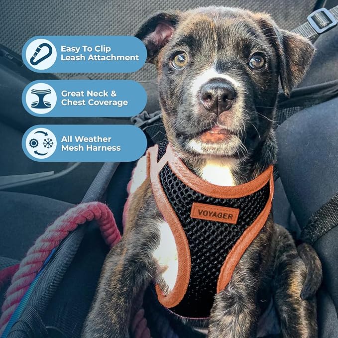 Best Pet Supplies Voyager Step-in Air All Weather Mesh Harness and Reflective Dog 5ft Leash Combo with Neoprene Handle, for Small, Medium and Large Breed Puppies - Black/Orange Trim, X-Large