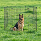 Amazon Basics Foldable Octagonal Metal Exercise Dog Playpen, Indoor/Outdoor, No Door, 8 Panels, 24 x 48 Inches, Rust-Resistant, X-Large, Black