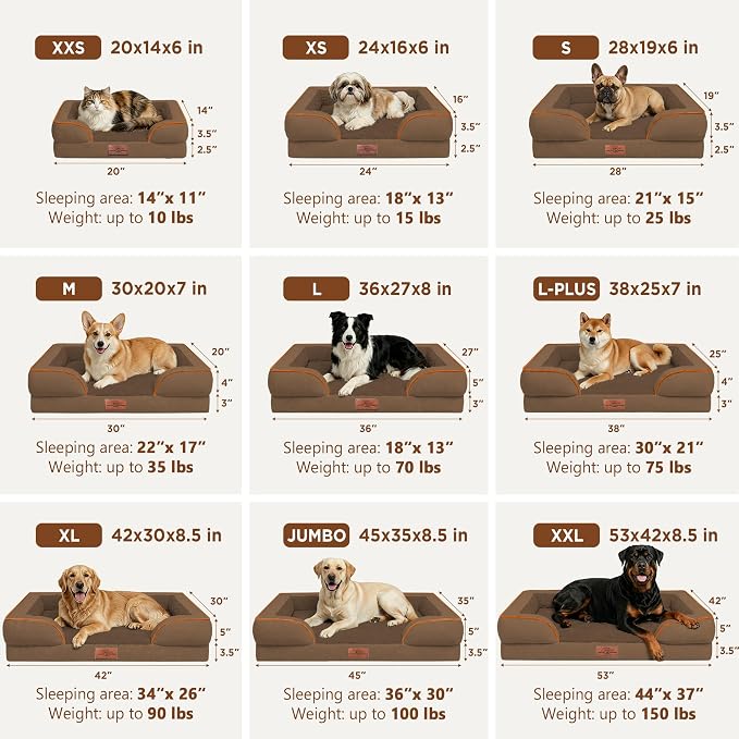 Comfort Expression Orthopedic Dog Bed for Medium Size Dog with Bolster | Waterproof Dog Couch Bed with Washable Cover & Non-Slip Bottom, Supportive Egg Crate Foam Medium Pet Bed, 30x20 Inch