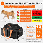 pidipiti 19x13x9 top Expandable pet Carrier, for Small Dog/cat up to 10 lbs | TSA Approved,with 2 pockets,zipper lock,leakproof,good Visibility,for Southwest Lufthansa Airlines,Air Canada,Amtrak Train