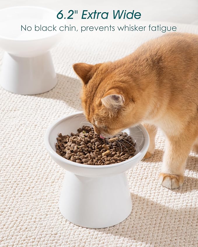 vancasso Extra Wide Elevated Cat Bowls 2-Pack, Shallow Ceramic Raised Cat Food and Water Bowls with 5.1" Height & 6.2" Wide - Anti Vomiting, Whisker Friendly for Senior Cats, and Small Dogs (White)