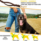 ADITYNA Leather Dog Leash with Traffic Handle, 6ft, Medium & Small Dogs | Heavy-duty braided leather leash, 5/8" width x 6ft, Double handle for extra control, ideal for training & busy sidewalks.