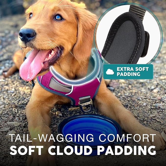 Embark Adventure Large Dog Harness – No-Pull, Reflective Trim, Military-Grade Nylon, Front Clip with Gel-Lined Handle
