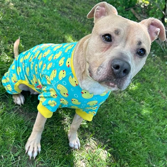 KYEESE Dog Pajamas Velvet Dog Pajamas Medium Sized Dogs Soft Dogs Clothes Pjs with Whale Pattern Stretchy Pet Jammies Coat Comfy Pet Onesie Costume, 2X-Large