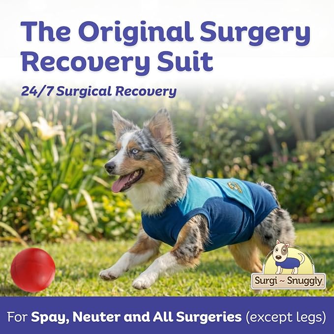 Surgi Snuggly Dog Surgery Recovery Suit – Dog Onesie for Post Surgery Recovery, Female Spay & Male Neuter – Surgical Suit for Dogs, E-Collar Cone Alternative, Double Blue - Large Long - 21" - 24" (EC)