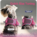 Eagloo Small Dog Harness and Leash Set, Step in Medium Small Puppy Pet Vest | Light, Soft, Breathable Air Mesh, Easy on and off with Hook & Loop, Reflective for Safe Walking, Rose Red, M