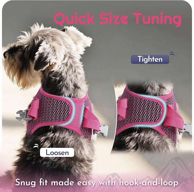 Eagloo Small Dog Harness and Leash Set, Step in Medium Small Puppy Pet Vest | Light, Soft, Breathable Air Mesh, Easy on and off with Hook & Loop, Reflective for Safe Walking, Rose Red, L