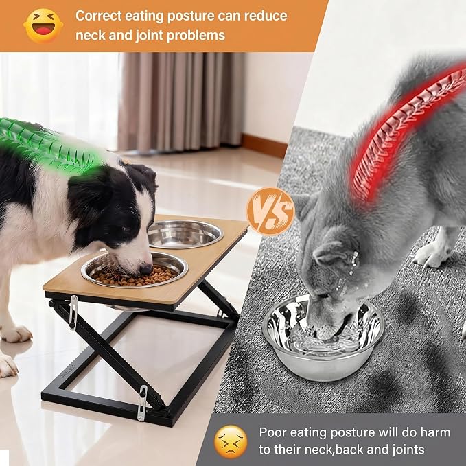 Elevated Dog Bowl, Adjustable Height and Tilt Angle Dog Bowl Stand | Precisely Adjust Height And Tilt Angle, Easy To Clean, Equipped With 2 Stainless Steel Food Bowls, Sturdy And Durable.