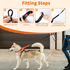 Mayerzon Martingale No Pull Collar for Medium Large Dogs | Sunset Orange, M | Patented Anti Pull Dog Collar with Buckle for Walking Training, Neoprene Padding, Adjustable, Hidden Design, 2.5mm Links