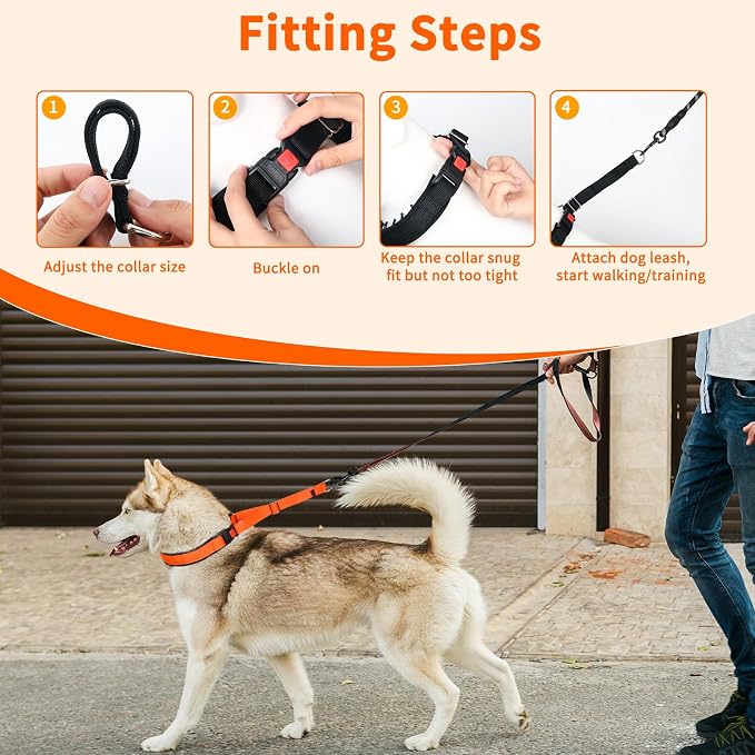Mayerzon Martingale No Pull Collar for Medium Large Dogs | Sunset Orange, M | Patented Anti Pull Dog Collar with Buckle for Walking Training, Neoprene Padding, Adjustable, Hidden Design, 2.5mm Links