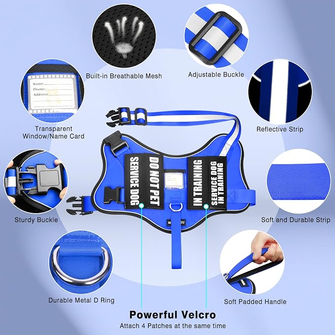 Service Dog Vest Harness and Leash Set+10 Patches,Easy Walk Blue XL | No Pull&Adjustable Reflective Dog Harness Large Sized,Dog Leash with 2 Soft Padded Handles,for Training Hiking Walking