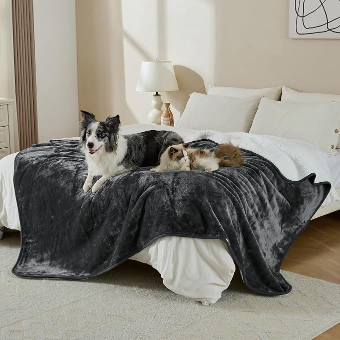 Soft Waterproof Blanket for Bed Couch Sofa, Dark Grey, 60x80 inches | Liquid Pee Proof Pet Blanket for Dog Puppy Cat, Reversible Sherpa Fleece Blanket for Couch Cover, Furniture Protector