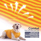 IECOii 2 Pack Dog Surgery Recovery Shirt Sleeveless Lightweight Dog Tshirt | T-Shirts with Stretch Fit,Gentle on Sensitive Skin,Anti-licking for Hot Spots,Shedding Control Tee,For Small to Giant Dogs