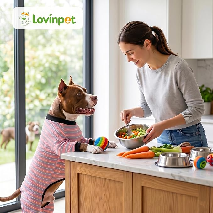 LovinPet Large Dog Pajamas, Cotton Multicolor Stripe Big Dog Shirt, Stop Shedding for Dogs, Full Body Dog Onesie, Pet Pajamas for Dogs, Pet PJ's, 2XL