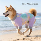 Dog Cooling Sun Protection Suit, Outdoor Fashion Onesie, UPF 50+ Lightweight Breathable Quick-Dry, Anti-Dirt & Anti-Shedding, Zipper Design for Easy Dressing Undressing (Lavender, XX-Large)