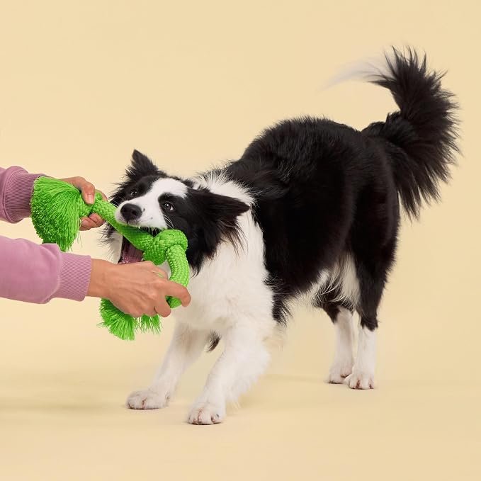 Playology Dog Toys | Dri-Tech Rope Tug of War Dog Toy for Tough Chewers | Sweet Potato Scented Jumbo Tug Rope Toys for Large Dogs
