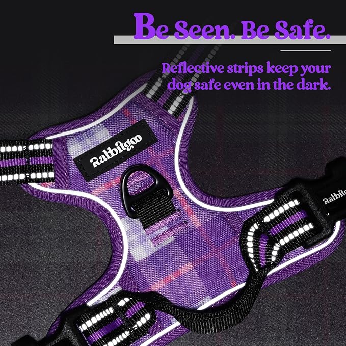 rabbitgoo Dog Harness, No Pull for Small Dogs with 2 Leash Clips, Pet Vest | No Choke with Handle, Adjustable Soft Padded, Reflective, Easy Control for Walking, Purple Plaid, Small