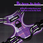 rabbitgoo Dog Harness, No Pull for Large Dogs with 2 Leash Clips, Pet Vest | No Choke with Handle, Adjustable Soft Padded, Reflective, Easy Control for Walking, Purple Plaid, Large