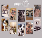 Puppytie Small Dog Harness and Leash Set, Silver Grey, S (9-17.5 lbs) | Dog Harness Small Sized Dog, Dog Leash for Small Dogs, Soft and Lightweight, Puppytie Dog Harness for Daily Walks