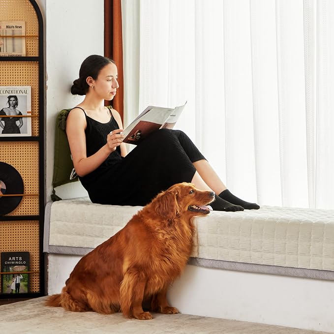 Couch Cover for Dogs Washable,Non-Slip Fuzzy Sofa Covers for Pets | Thick Soft Furniture Protector Fits Loveseat & Sectional,Against Fur&Dirt(Ivory, 1pc/36"x80"/Seat Cover)