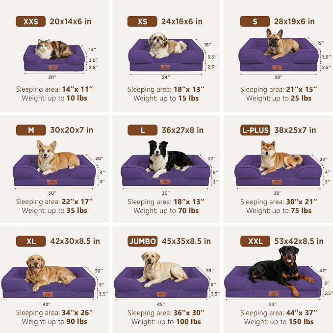 Comfort Expression Orthopedic Dog Bed for Medium Size Dog with Bolster | Waterproof Dog Couch Bed with Washable Cover & Non-Slip Bottom, Supportive Egg Crate Foam Medium Pet Bed, 30x20 Inch