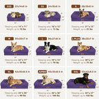 Comfort Expression Orthopedic Dog Bed for Medium Size Dog with Bolster | Waterproof Dog Couch Bed with Washable Cover & Non-Slip Bottom, Supportive Egg Crate Foam Medium Pet Bed, 30x20 Inch