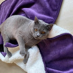 Soft Waterproof Blanket for Bed Couch Sofa, Dark Purple, 30x40inches | Liquid Pee Proof Pet Blanket for Dog Puppy Cat, Reversible Sherpa Fleece Blanket for Couch Cover, Furniture Protector