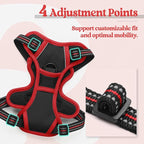 rabbitgoo Dog Harness, No Pull for Small Dogs with 2 Leash Clips, Pet Vest | No Choke with Handle, Adjustable Soft Padded, Reflective, Easy Control for Walking, Black & Red, X-Small