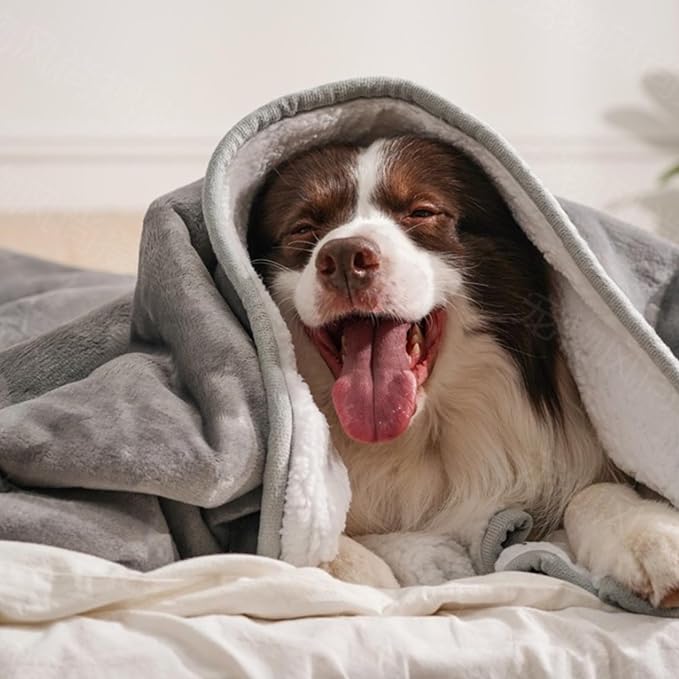 gogobunny Waterproof Blanket for Bed Couch, Sherpa Fleece Throw, 50x60 | Liquid Pee and Fur Proof Pet Blanket for Dog, Reversible Soft Warm Throw for Couch Cover, Furniture Cover Protector, Grey