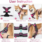 rabbitgoo Dog Harness, No Pull Medium Sized with 2 Leash Clips, Pet Vest | No Choke with Handle, Adjustable Soft Padded, Reflective, Easy Control for Walking, Hot Pink, Medium