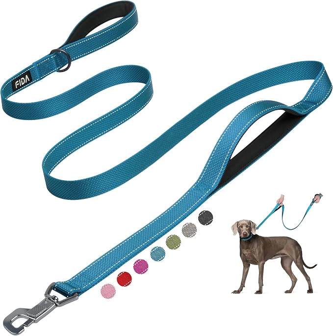 Fida 6 FT Heavy Duty Dog Leash with 2 Comfortable Padded Handles, Traffic Handle & Advanced Easy Snap Hook, Reflective Walking Lead for Large, Medium & Small Breed Dogs, Blue