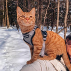 rabbitgoo Cat Harness and Leash Set, Escape Proof Vest, Grey | Soft Breathable Mesh, Easy Adjustable Fit, Snap Buckles, Sturdy Clip, Reflective Strips, for Kittens & Small Cats Walks, Xxs