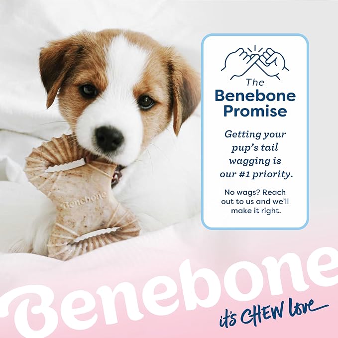 Benebone Puppy 2-Pack Dental/Wishbone Dog Chew Toys, Real Chicken, Small