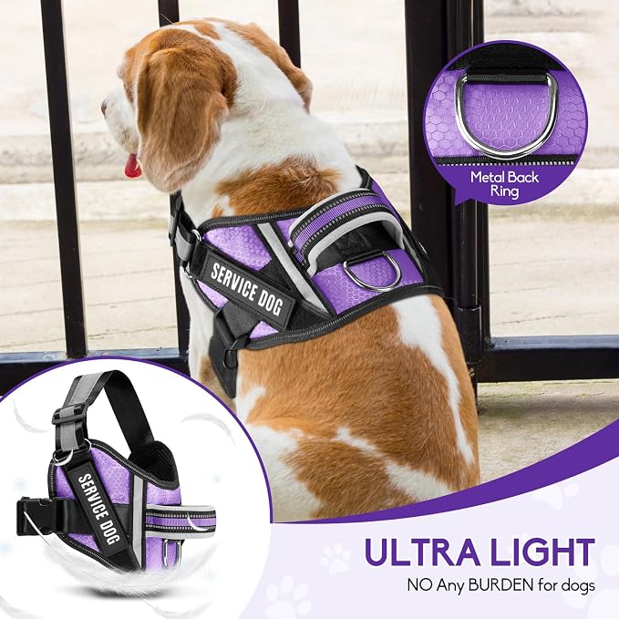 Service Dog Vest Harness and Leash Set, Animire in Training Dog Harness with 10 Dog Patches, Reflective Dog Leash with Soft Padded Handle for Small, Medium, Large, and Extra-Large Dogs (Purple, XL)