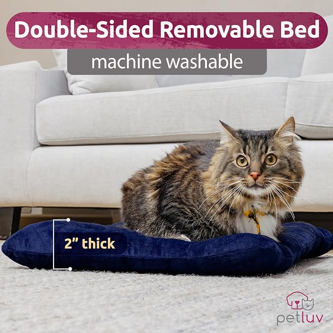 Cat & Dog Pet Carrier, Soft-Sided, Large 24"x16"x16", Fits Large Cat, 2 Cats, or Medium Dog Comfortably, Great for Travel & Vet Visits, Privacy Windows, Removable Bed, Locking Zippers, Foldable