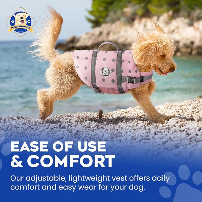 Dog Life Jacket — Premium Swim Vest with SafeChin Anti-Choke Collar | PAWS Aboard Pink | RapidLift Rescue Handle, D-Ring, Reflective Trim | Boating, Kayaking, Pool | XX-Small (Under 6 lbs)