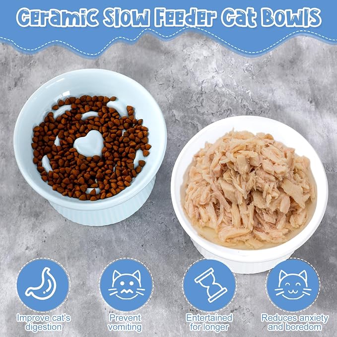 Tioncy 2 Pcs Ceramic Elevated Slow Feeder Cat Bowl, Raised Cat Slow Feeder Bowl, Anti Vomiting for Dry and Wet Food, No Spill High Edge Easy Clean Dishwasher Safe (White,Blue)