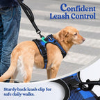 rabbitgoo Dog Harness, No Pull for Large Dogs with 2 Leash Clips, Pet Vest | No Choke with Handle, Adjustable Soft Padded, Reflective, Easy Control for Walking, Blue Plaid, Small
