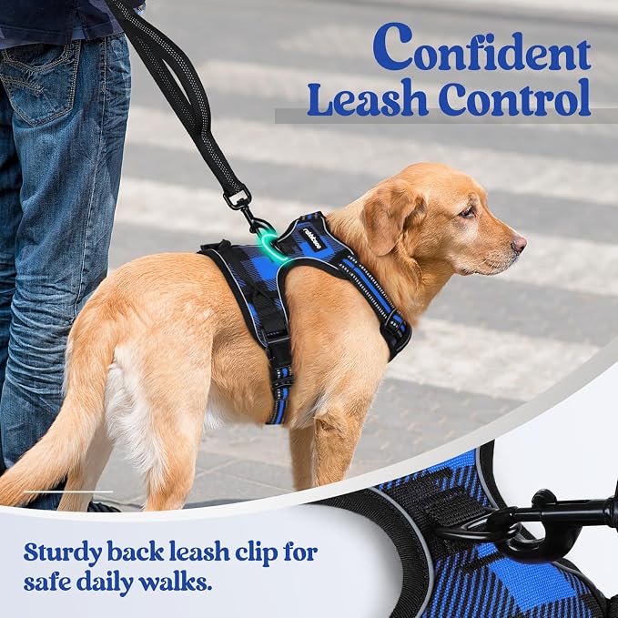 rabbitgoo Dog Harness, No Pull for Large Dogs with 2 Leash Clips, Pet Vest | No Choke with Handle, Adjustable Soft Padded, Reflective, Easy Control for Walking, Blue Plaid, Small