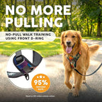 Embark Adventure No Pull Dog Harness, Reflective Trim No Pull Harness for Medium Sized Dog - Military Grade Nylon, Front Clip with Gel Lined Handle. Soft & Padded Puppy